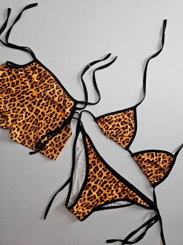 Lady's beach bikini