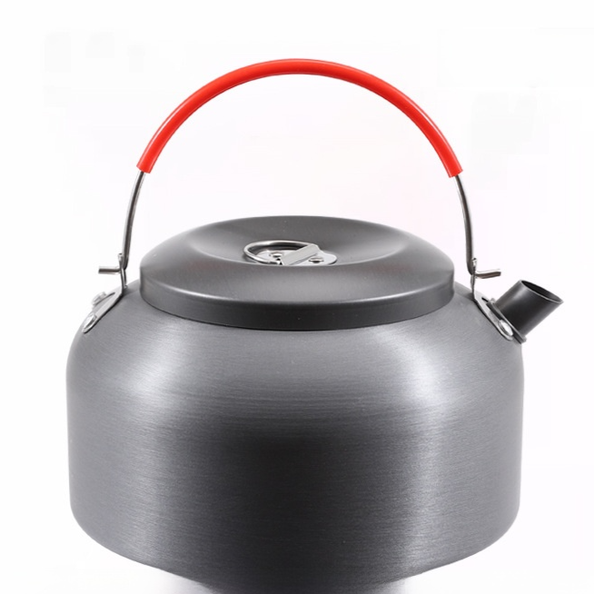 Large capacity portable kettle
