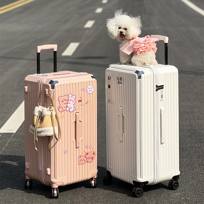 Large-capacity suitcase for women with a handle