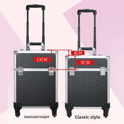 Large capacity trolley case
