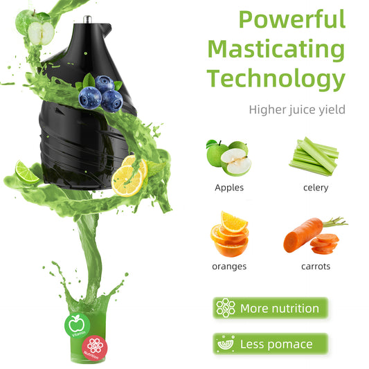 Large Diameter Slow Juicer