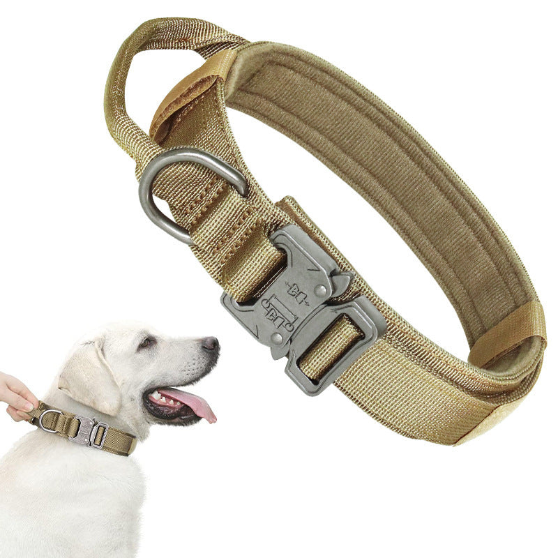 Large dog pet chest back
