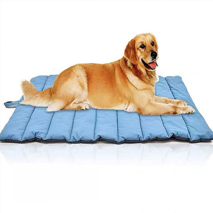 Large double-sided dual-purpose dog mat for all four seasons