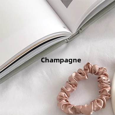 Large intestine hair tie