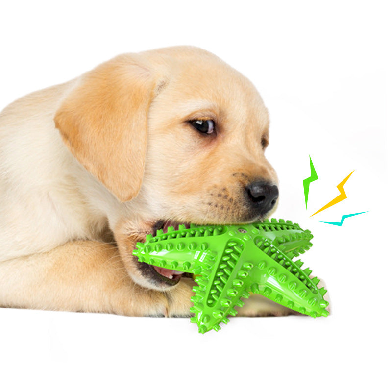Large-sized gnawing teething dog toothbrush