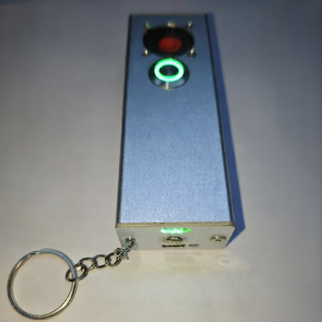 Laser igniter