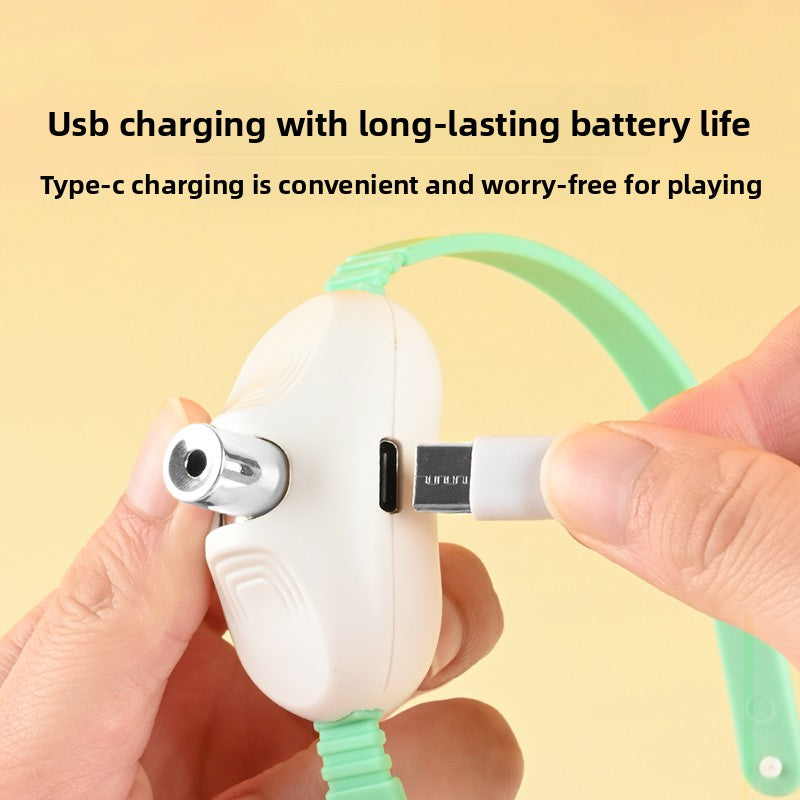 Laser Pet Toy