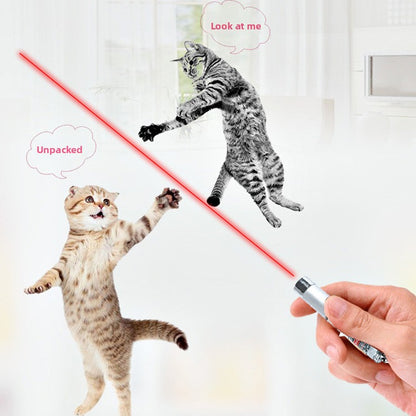 Laser Pet Toy