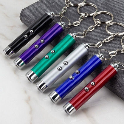 Laser Teasing Pen for Cats and Dogs