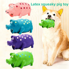 Green-spotted pig