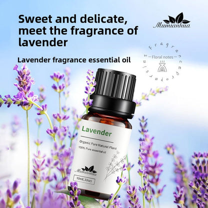 Lavender fragrance essential oil