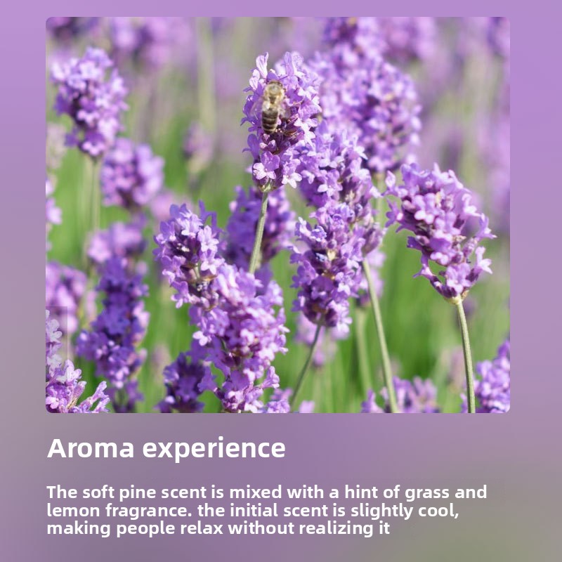 Lavender fragrance essential oil