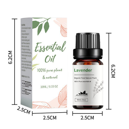 Lavender fragrance essential oil