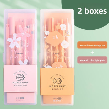Learning Stationery Supplies