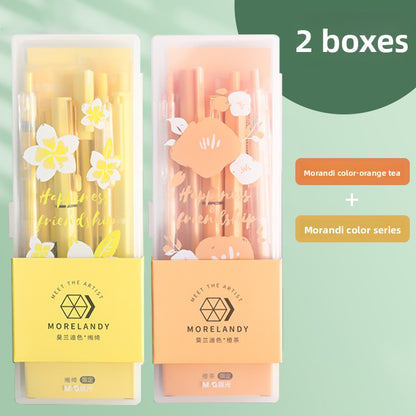 Learning Stationery Supplies
