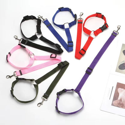 Leash