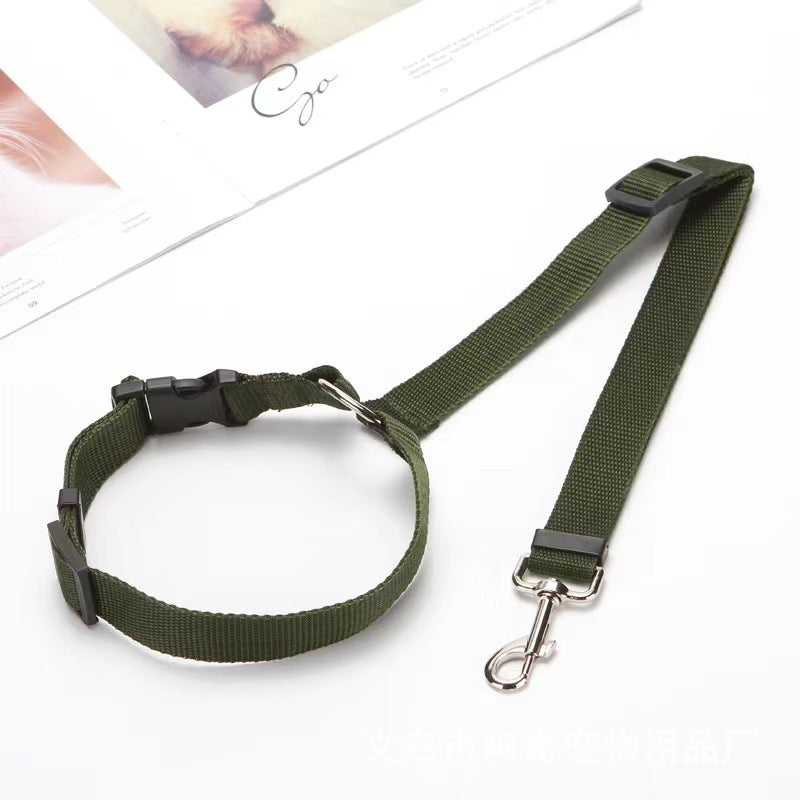 Leash