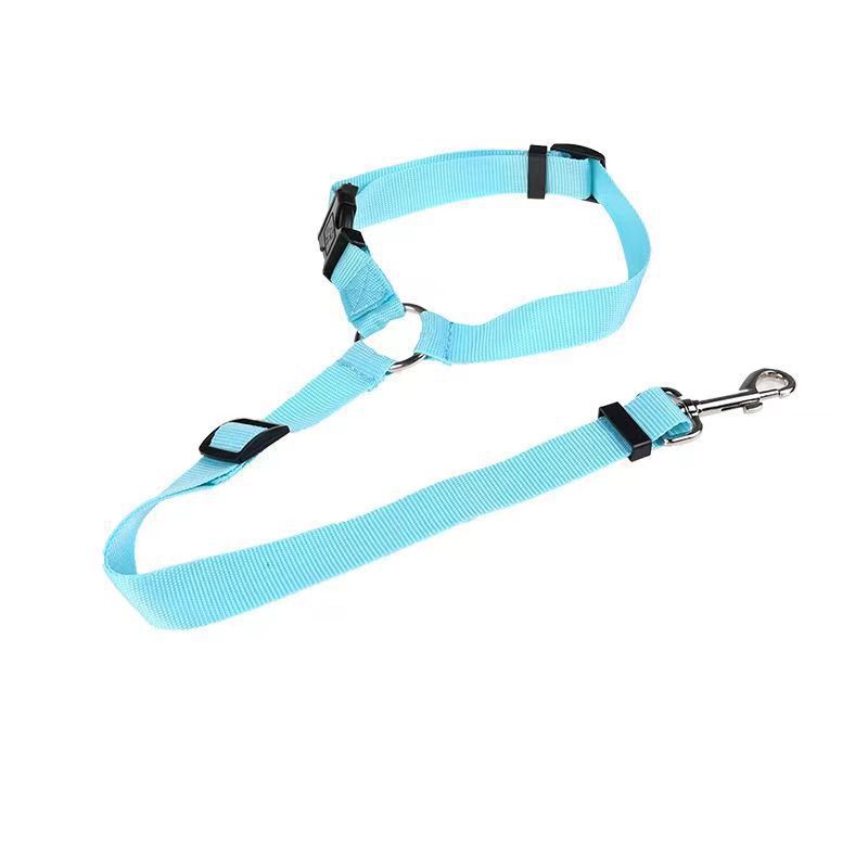 Leash