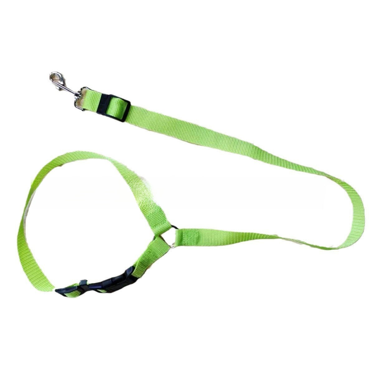 Leash