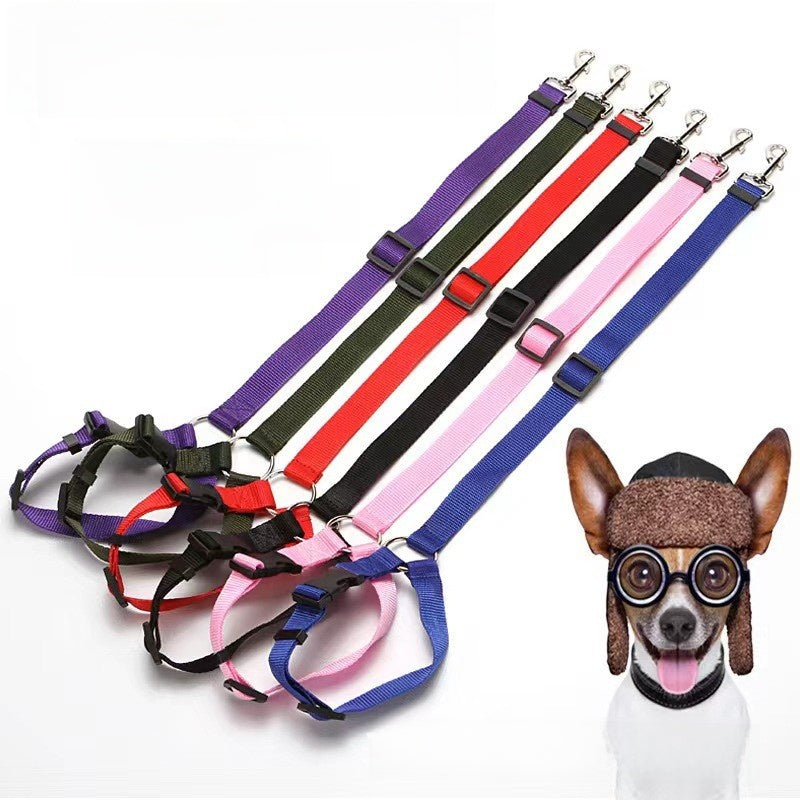 Leash