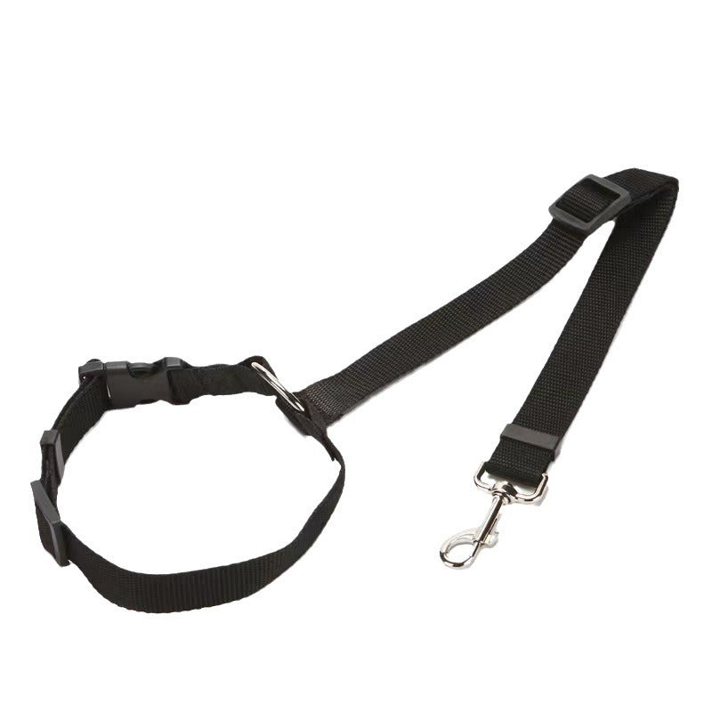 Leash