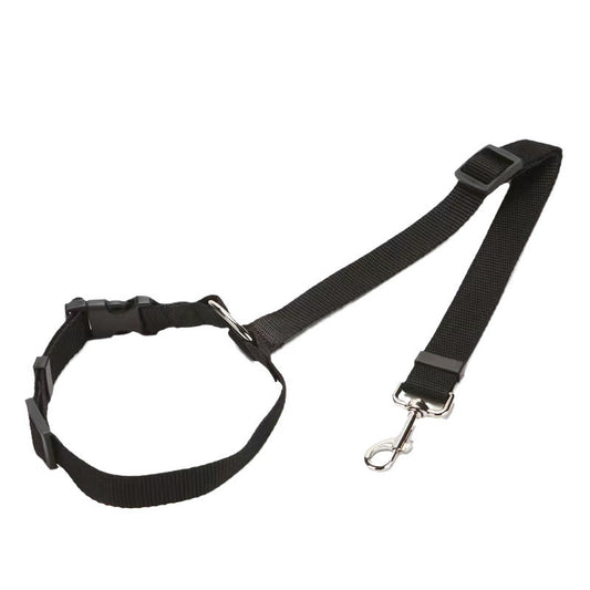 Leash