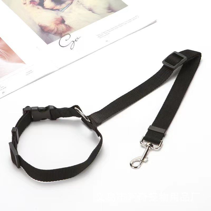 Leash