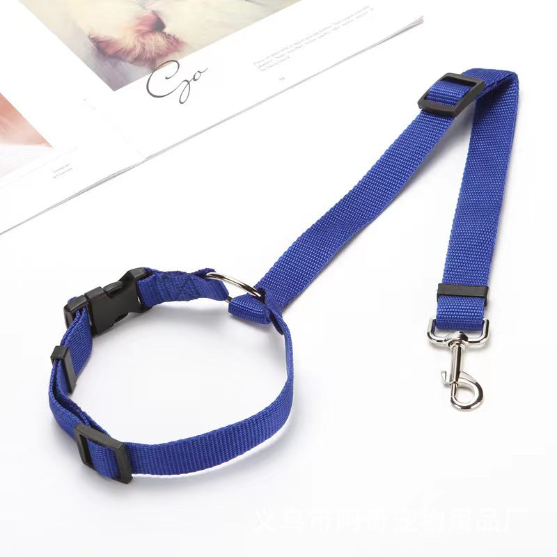 Leash