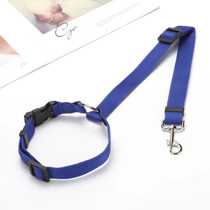 Leash