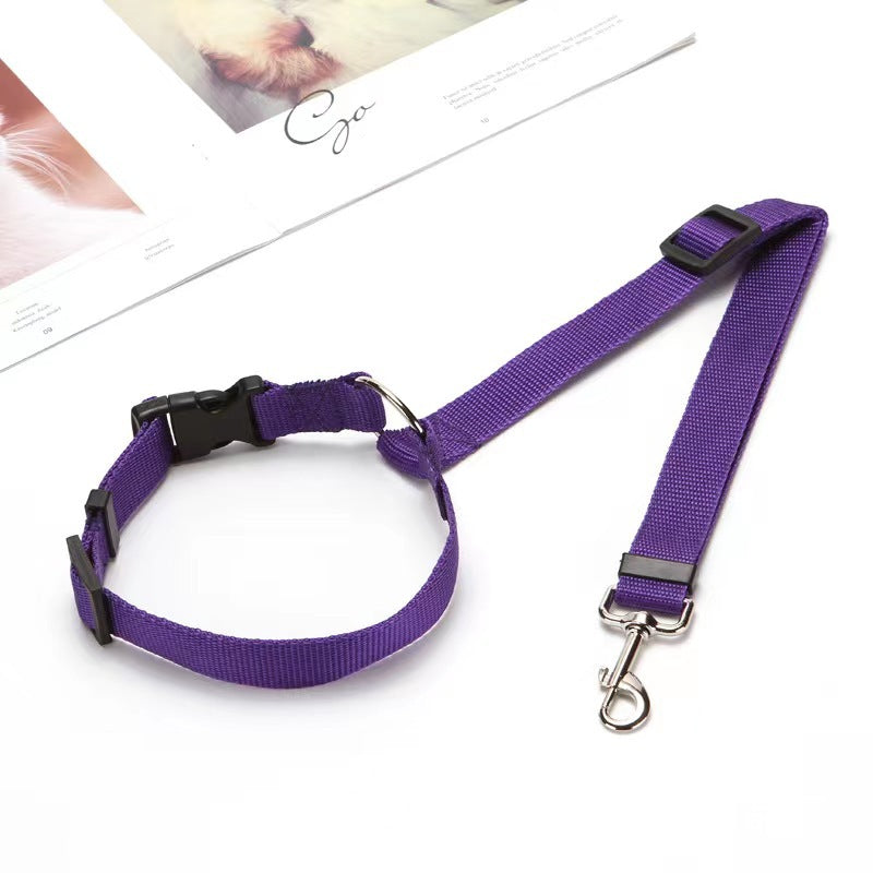 Leash