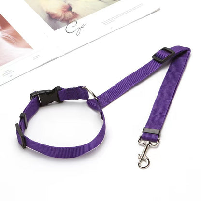 Leash