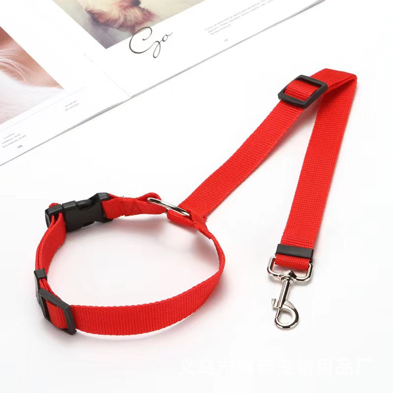 Leash