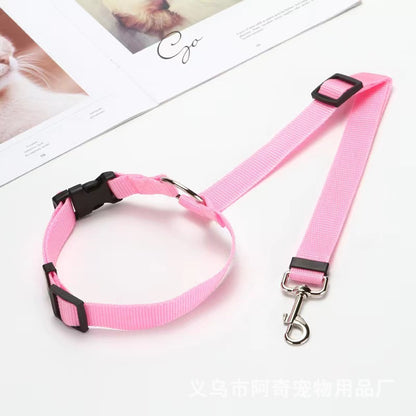 Leash