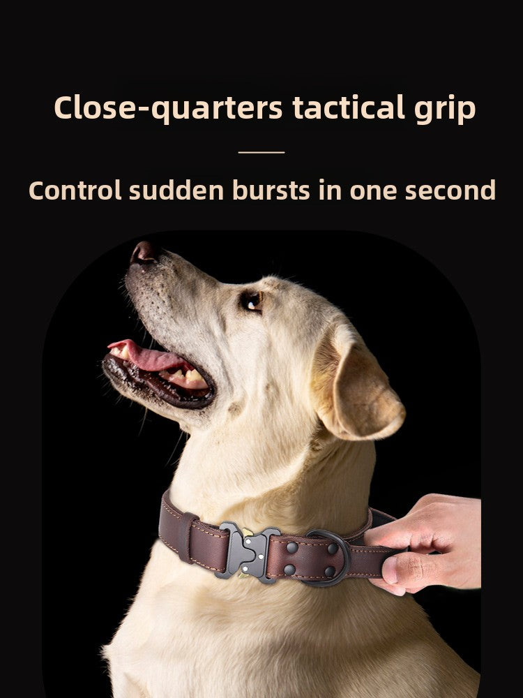 Leather Dog Collar