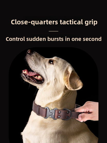 Leather Dog Collar
