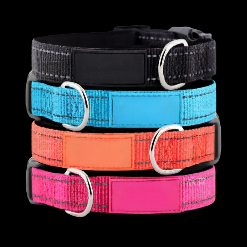 Leather tag printing for dog collars