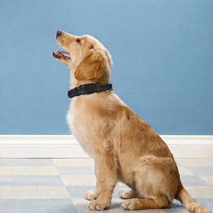 Leather tag printing for dog collars