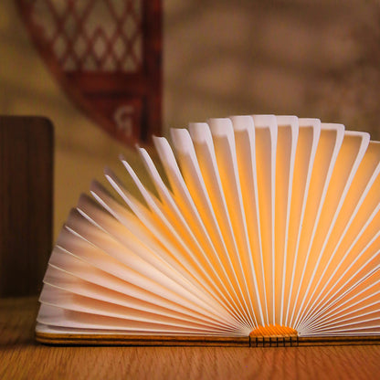 LED Book Lamp