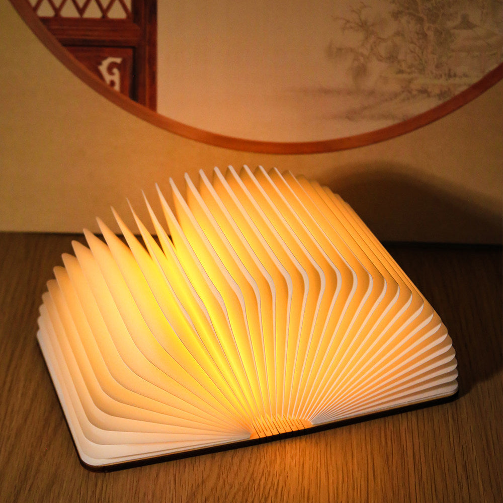 LED Book Lamp