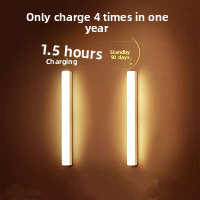 LED Cabinet Light