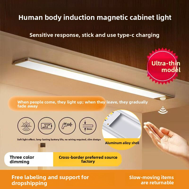LED Cabinet Light