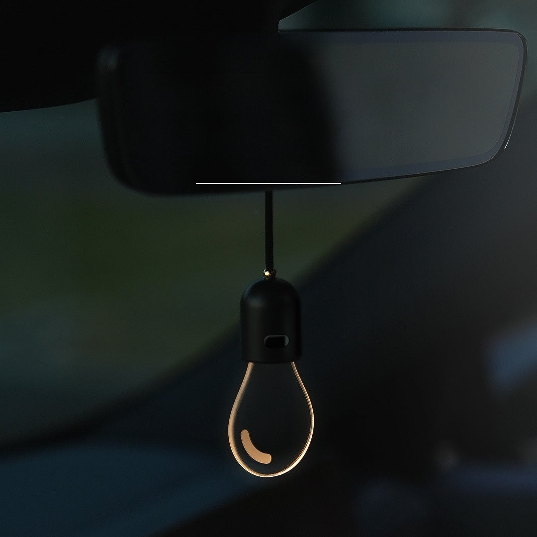 LED Car Ambient Light with Hook Mount