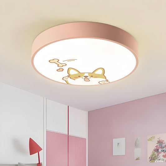 LED ceiling lamp