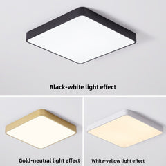 White lamp body-lens white light