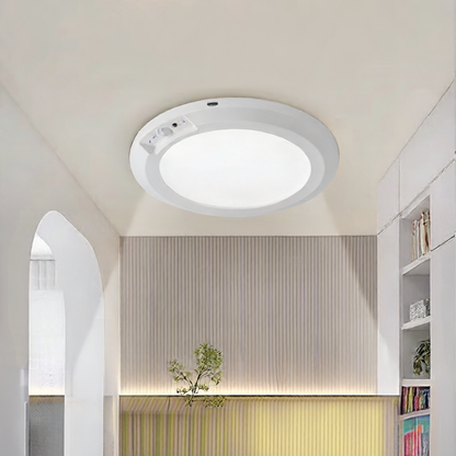 LED ceiling lamp