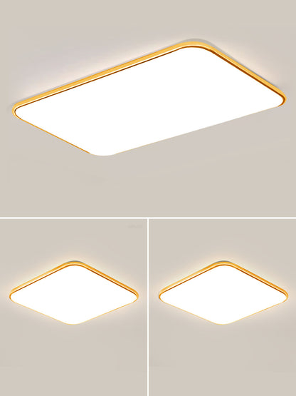 led ceiling lamp