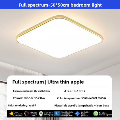 led ceiling lamp