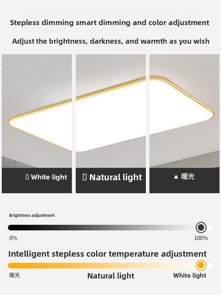 led ceiling lamp