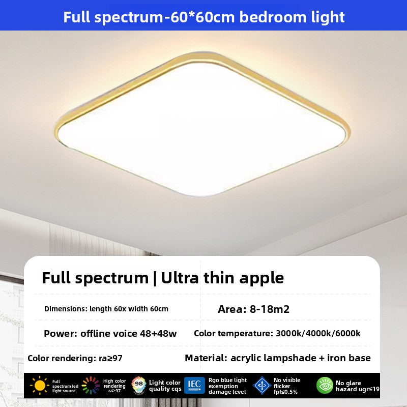 led ceiling lamp