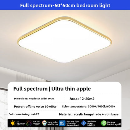 led ceiling lamp